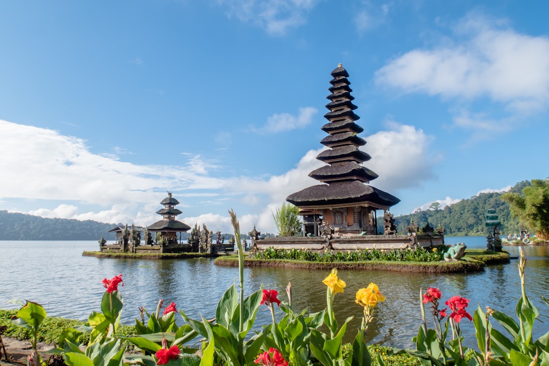 Bali landscape 5